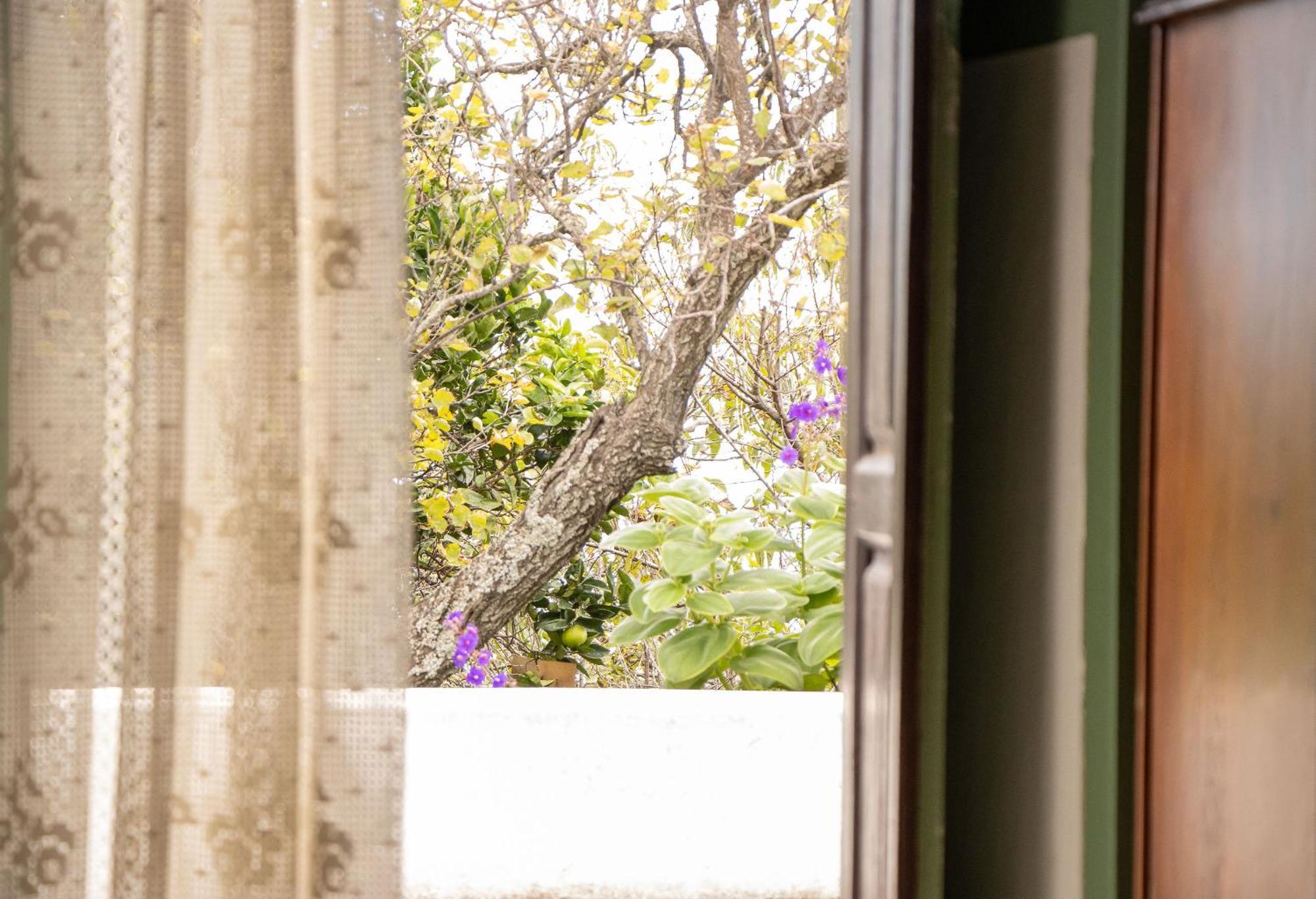 Vivienda Vacacional Finca Monterrey Mazo Zewnętrze zdjęcie